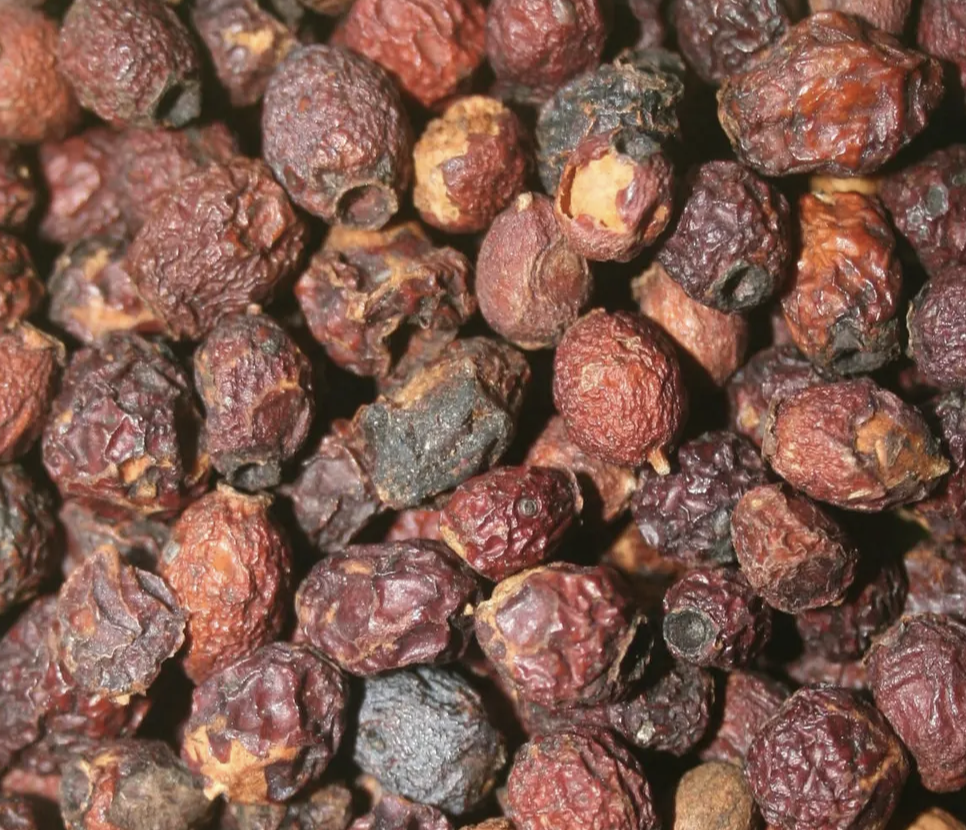 Herbs at Home: Easy Ways to Enjoy Sage, Chamomile, Sunflower Petals, Hawthorn Berries, and Astragalus